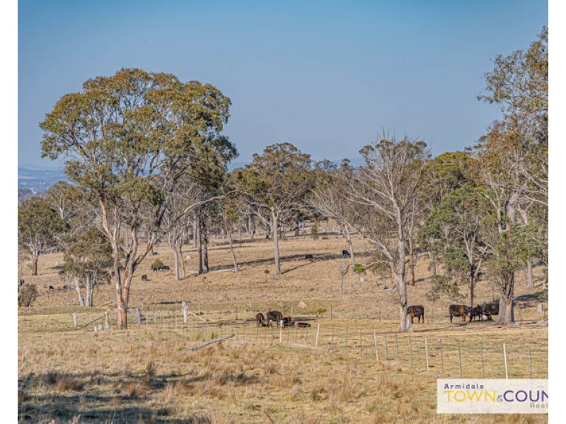 133 Lochaven Road, Armidale NSW 2350