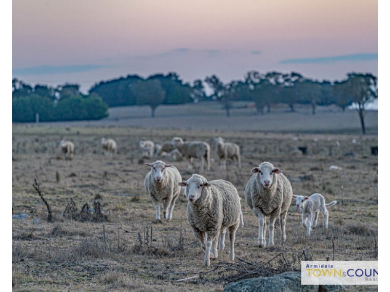 133 Lochaven Road, Armidale NSW 2350