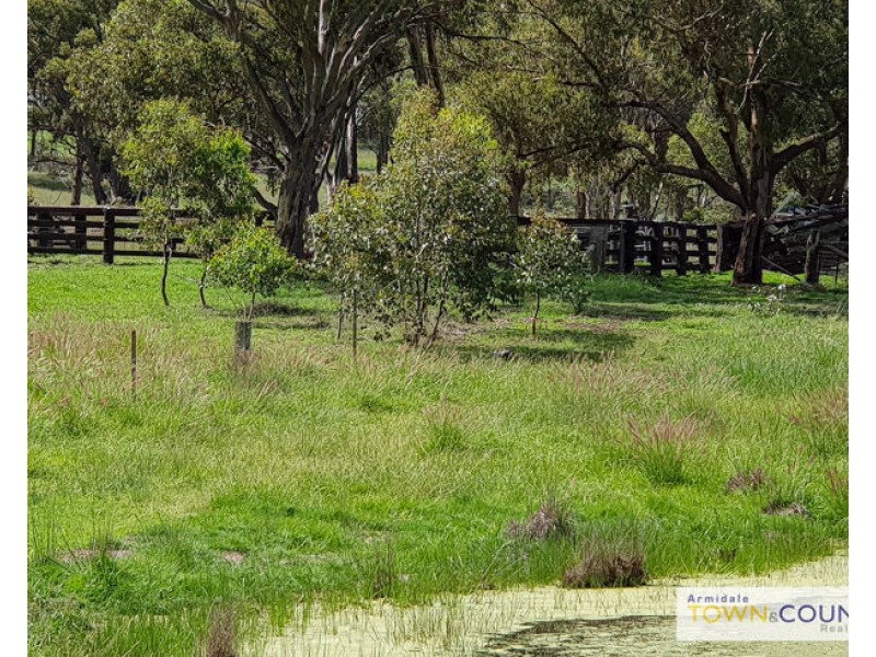 211 Sunnyside Road, Armidale NSW 2350