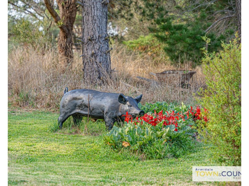 211 Sunnyside Road, Armidale NSW 2350