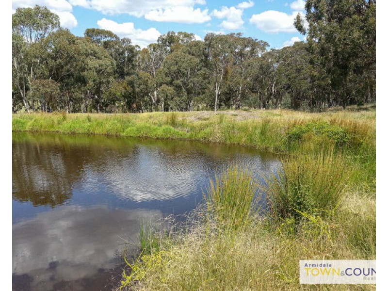 211 Sunnyside Road, Armidale NSW 2350