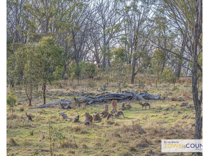 211 Sunnyside Road, Armidale NSW 2350