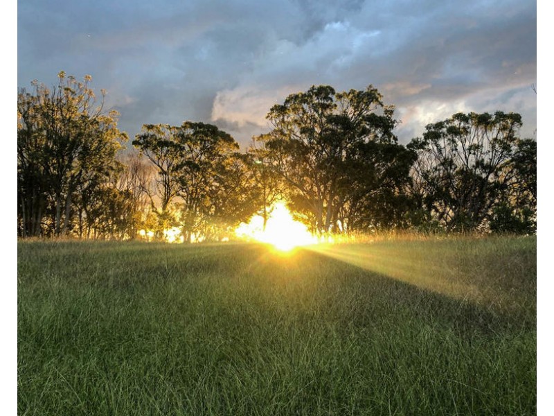 211 Sunnyside Road, Armidale NSW 2350