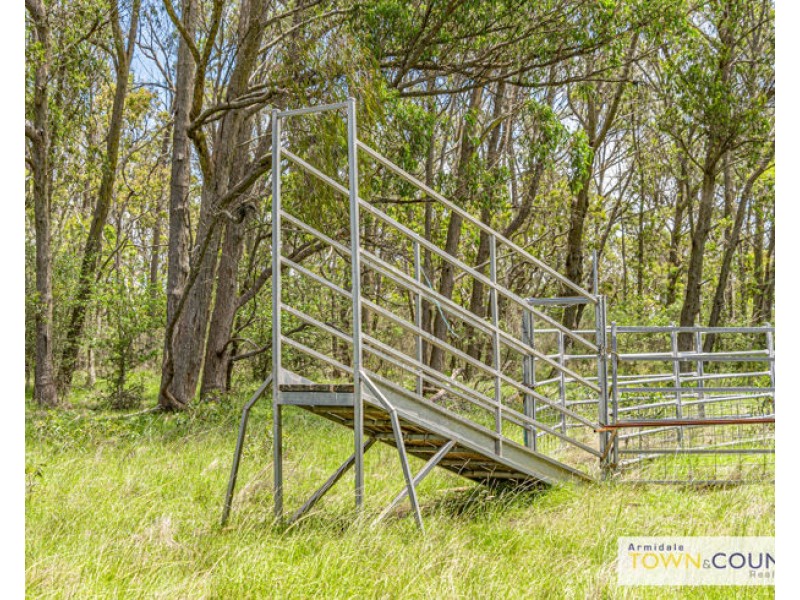 Lot 13 Yellowbox Drive, Armidale NSW 2350