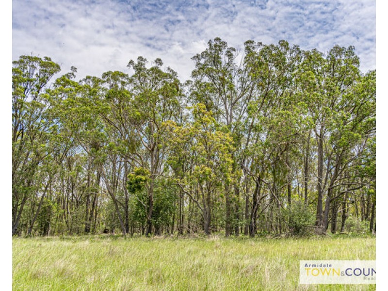 Lot 13 Yellowbox Drive, Armidale NSW 2350