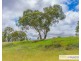 53B The Avenue, Armidale NSW 2350