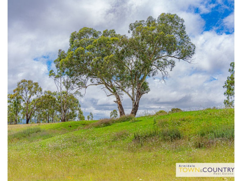 53B The Avenue, Armidale NSW 2350