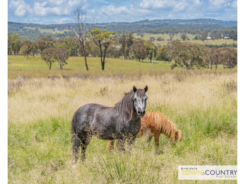 1220 Castledoyle Road, Armidale NSW 2350