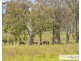1220 Castledoyle Road, Armidale NSW 2350