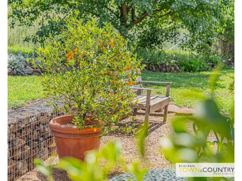 84 Old Gostwyck Road, Armidale NSW 2350