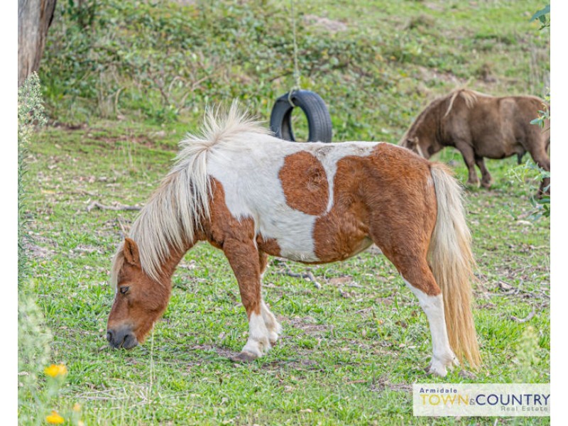 84 Old Gostwyck Road, Armidale NSW 2350