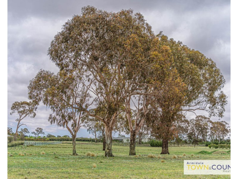 22 Post Way, Armidale NSW 2350