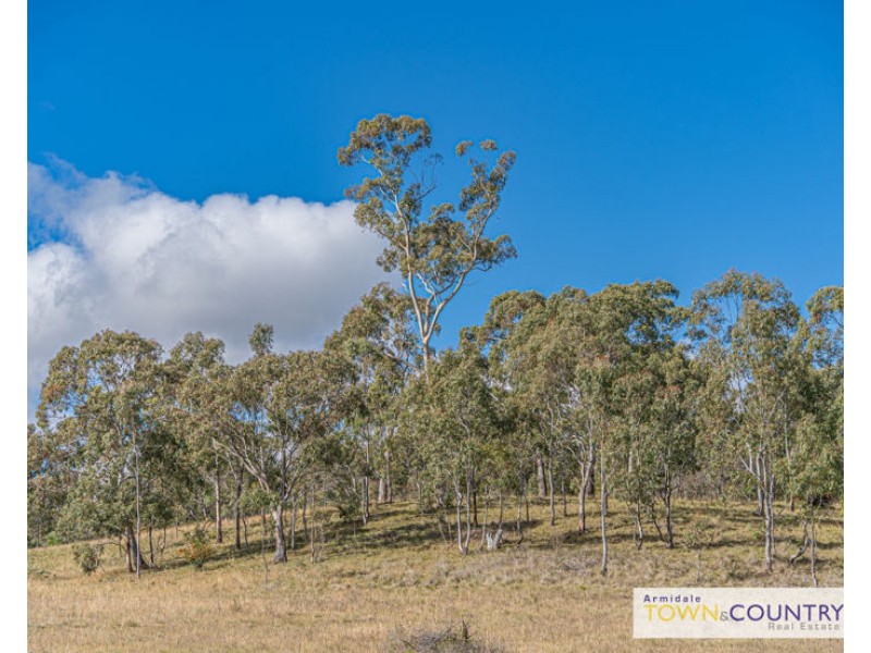 36 Lingerwood Place, Armidale NSW 2350