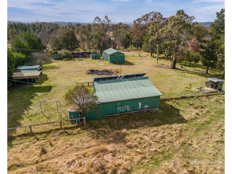20 Balgownie Drive, Armidale NSW 2350