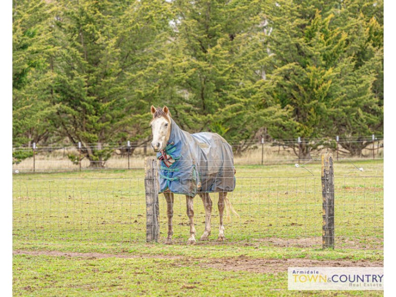 954 Bundarra Road, Armidale NSW 2350