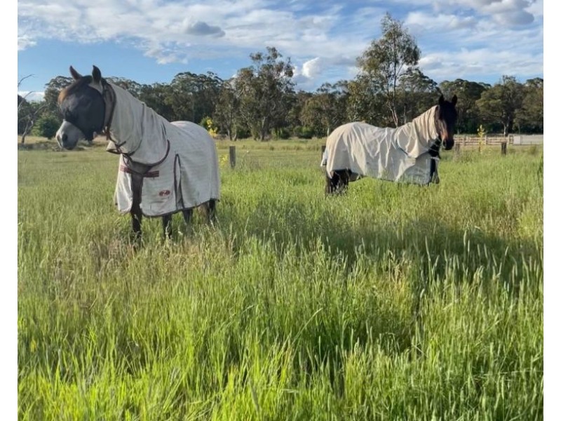 954 Bundarra Road, Armidale NSW 2350