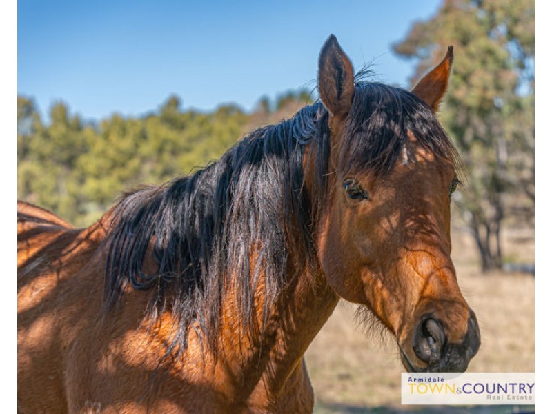 1171 Bundarra Road, Armidale NSW 2350