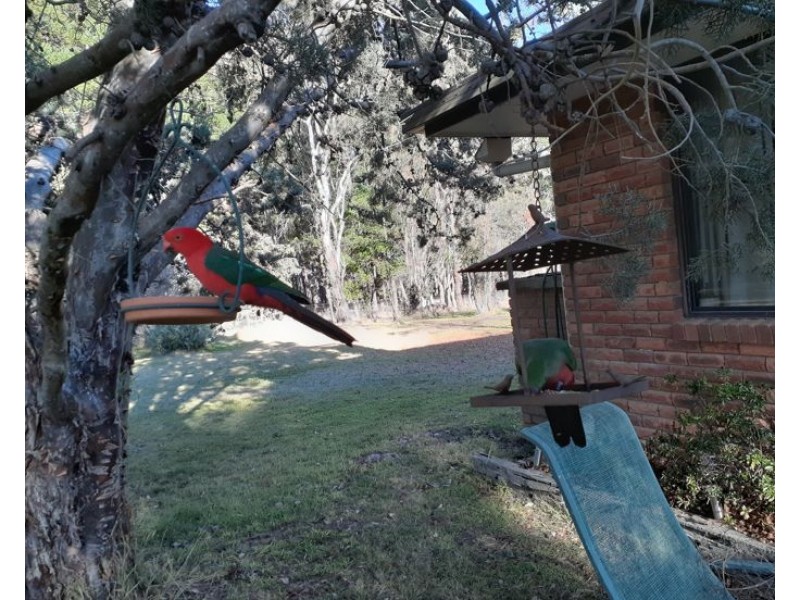 91 Pinegrove Road, Armidale NSW 2350