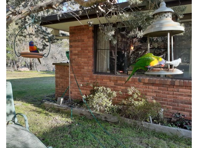 91 Pinegrove Road, Armidale NSW 2350