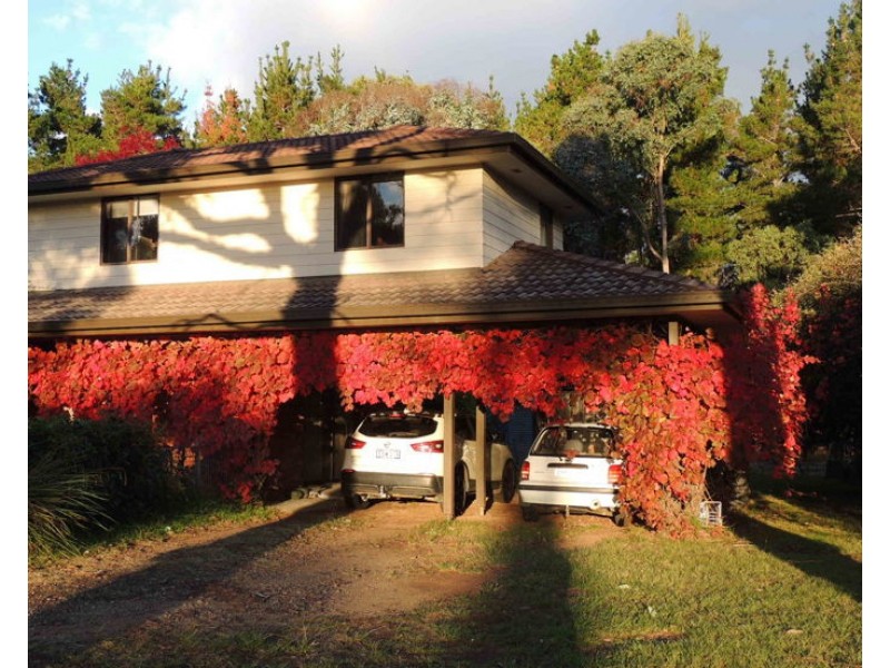 91 Pinegrove Road, Armidale NSW 2350