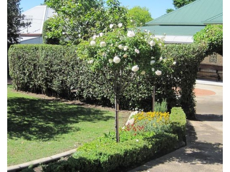 18 Wade Avenue, Armidale NSW 2350