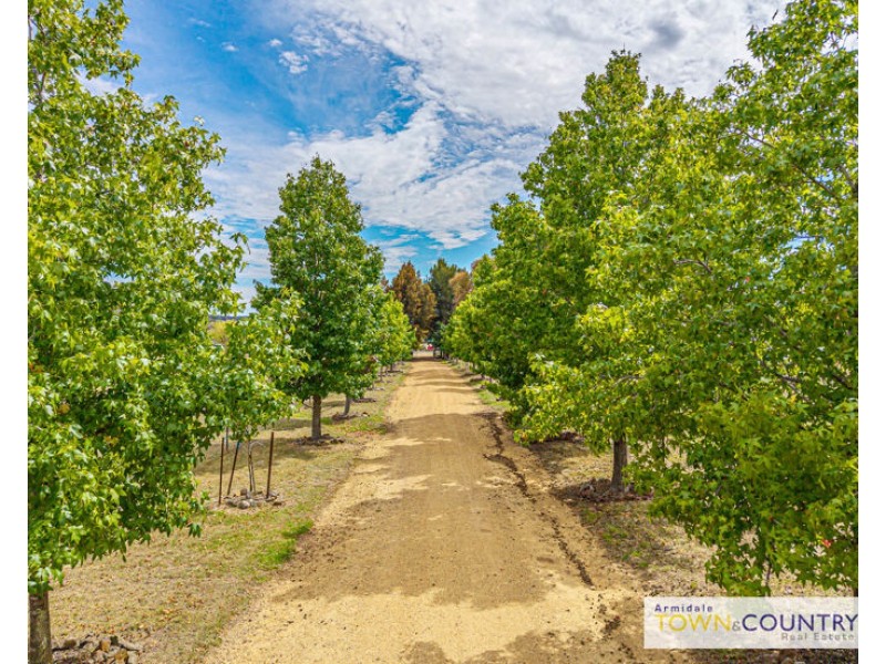 25 Mundays Lane, Armidale NSW 2350