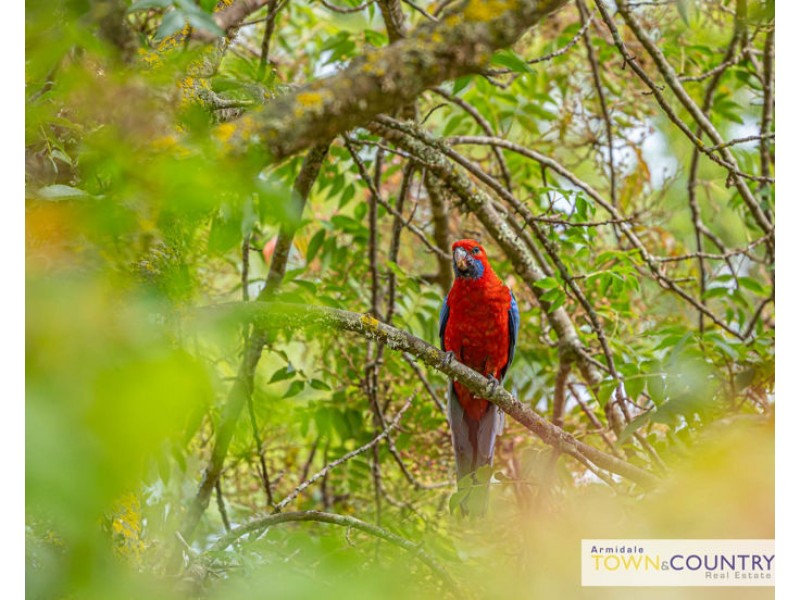 25 Mundays Lane, Armidale NSW 2350