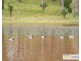 336 Herbert Park Road, Armidale NSW 2350