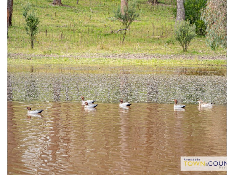 336 Herbert Park Road, Armidale NSW 2350