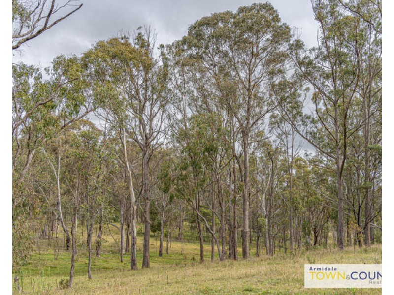 336 Herbert Park Road, Armidale NSW 2350