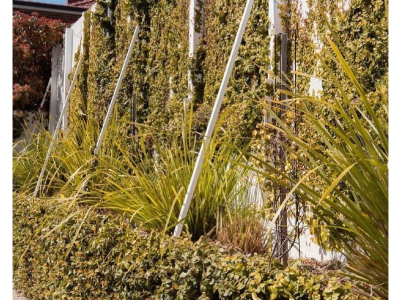 50 Garibaldi Street, Armidale NSW 2350