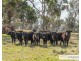 117 Herbert Park Road, Armidale NSW 2350