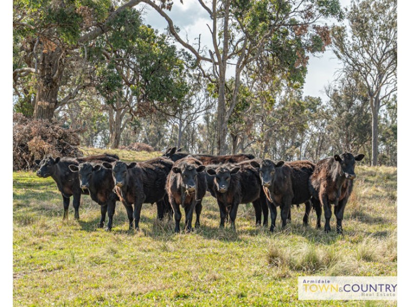 117 Herbert Park Road, Armidale NSW 2350