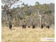 117 Herbert Park Road, Armidale NSW 2350