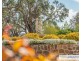 117 Herbert Park Road, Armidale NSW 2350