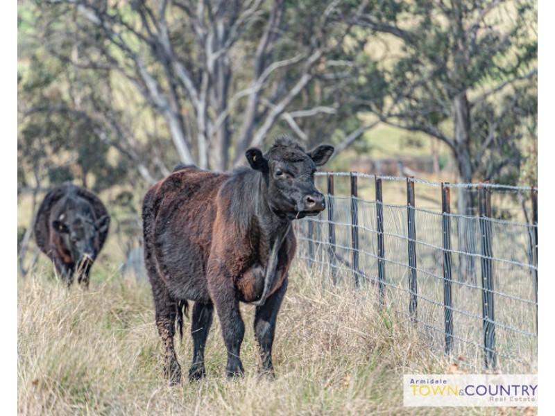 117 Herbert Park Road, Armidale NSW 2350