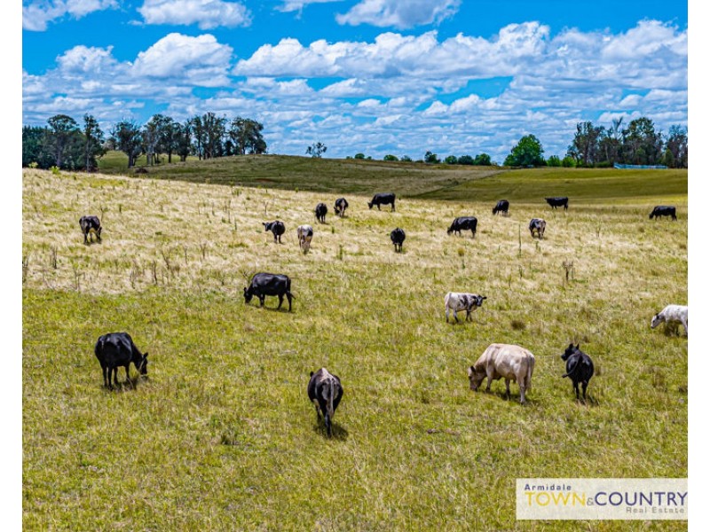 ‘Rosebud’ Mount Butler Road, Armidale NSW 2350