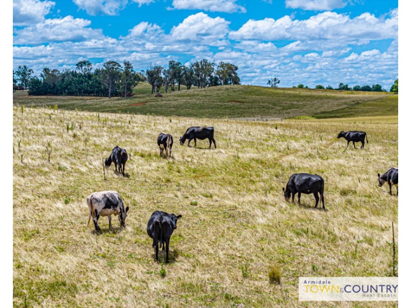 ‘Rosebud’ Mount Butler Road, Armidale NSW 2350