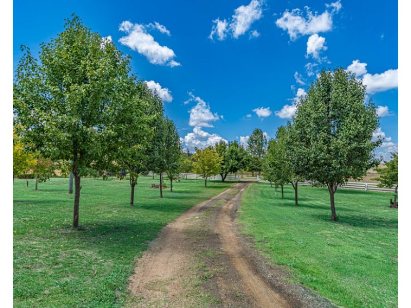 37 Herbert Park Road, Armidale NSW 2350