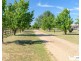 62 Mundays Lane, Armidale NSW 2350