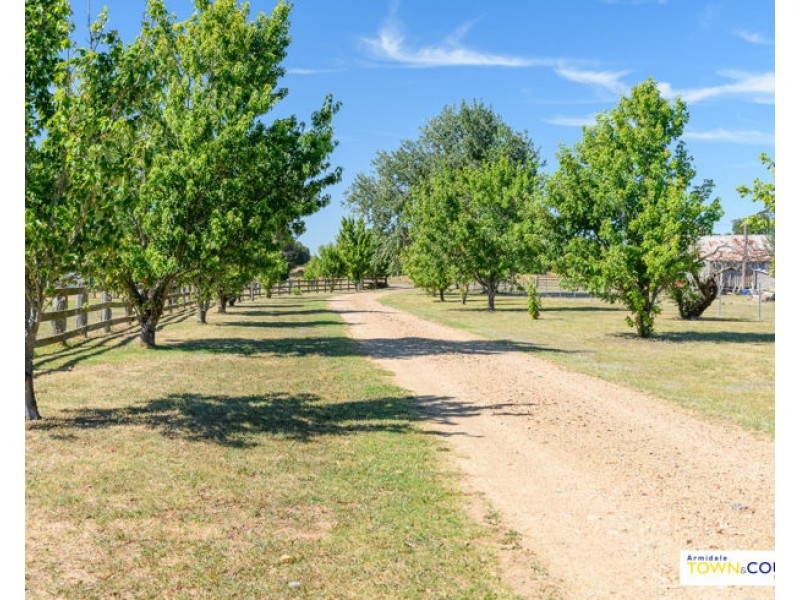 62 Mundays Lane, Armidale NSW 2350