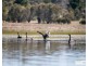62 Mundays Lane, Armidale NSW 2350
