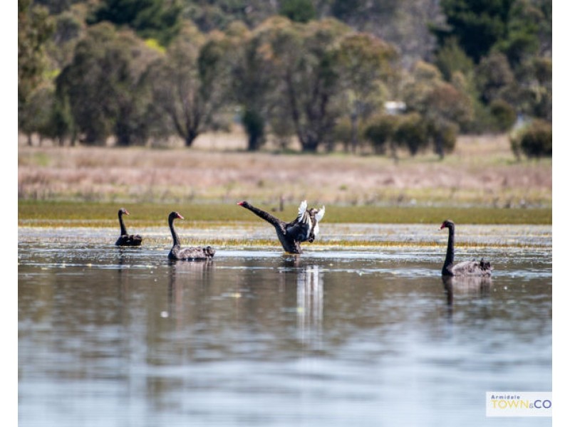 62 Mundays Lane, Armidale NSW 2350