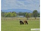 105 Marble Hill Road, Armidale NSW 2350