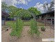54 Murray Avenue, Armidale NSW 2350