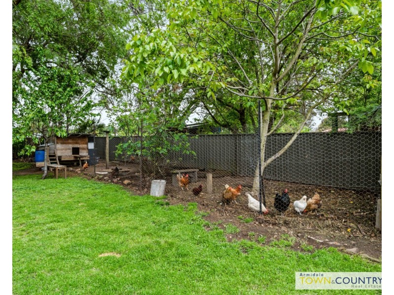 12 Douglas Street, Armidale NSW 2350