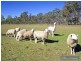 486 Pinegrove Road, Armidale NSW 2350