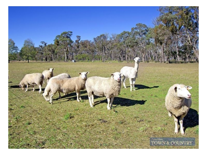 486 Pinegrove Road, Armidale NSW 2350