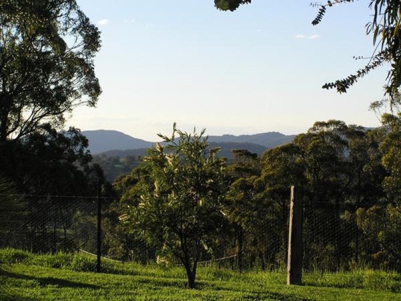 Invergowrie NSW 2350