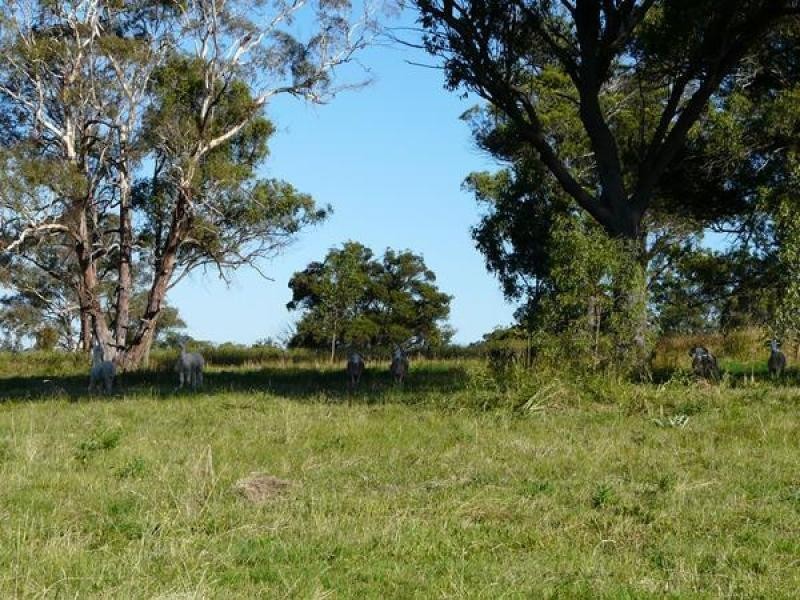 Invergowrie NSW 2350